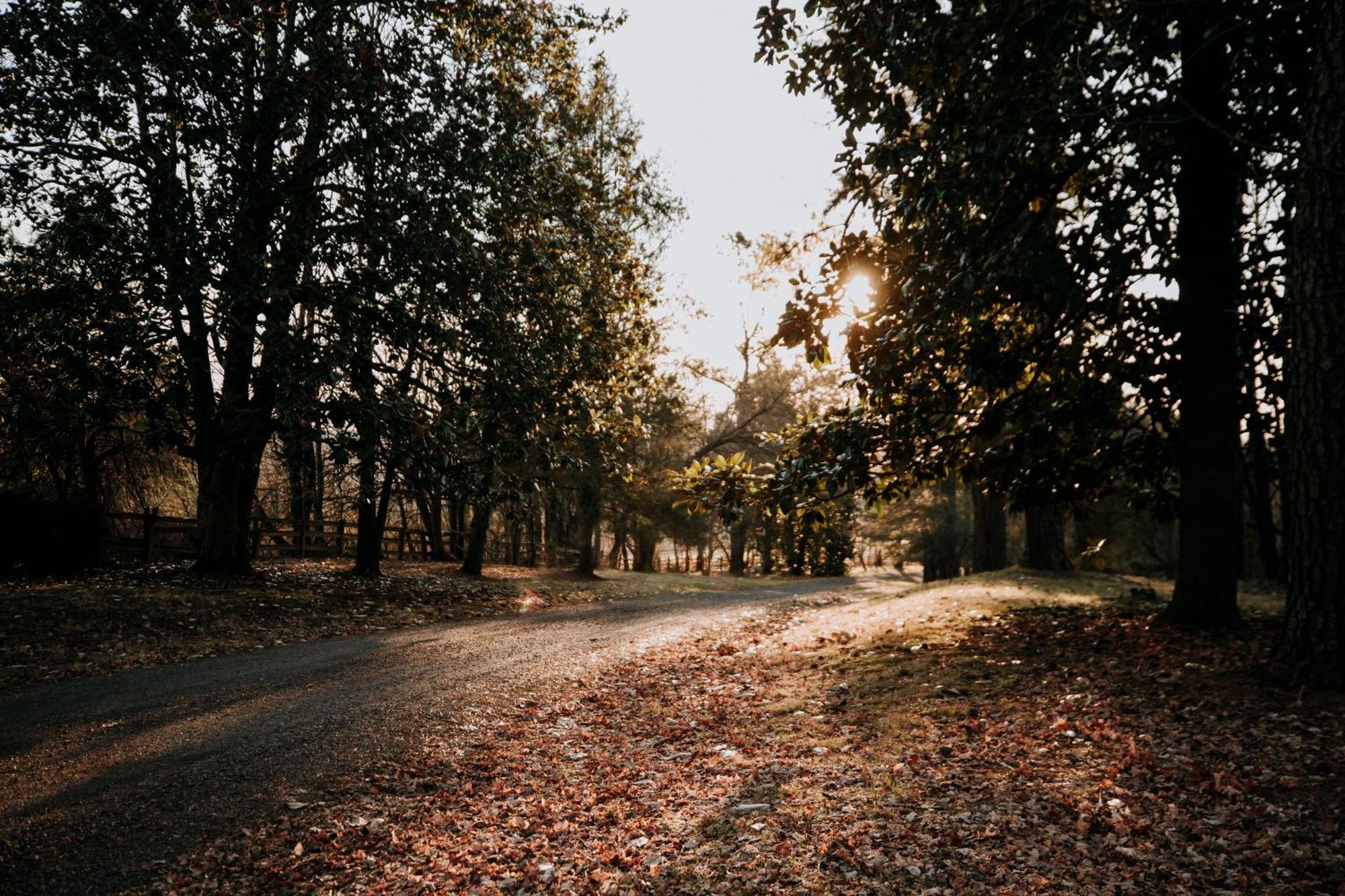 Mayhurst Estate Orange Екстер'єр фото